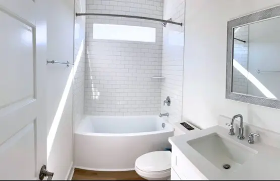 3200bf77 1f0a 4da0 a8e5 76b109ab0501.jpeg
